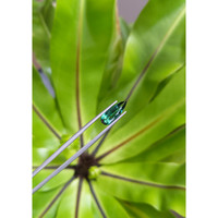 2.46 Ct. Tourmaline from Brazil Life Style