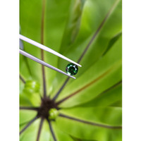 1.34 Ct. Tourmaline from Namibia Life Style