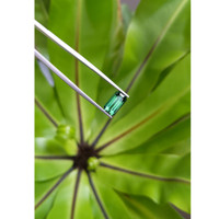3.36 Ct. Tourmaline from Afghanistan Life Style
