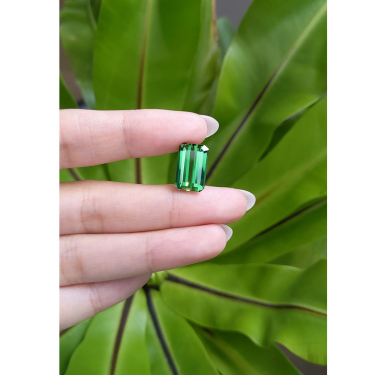 6.50 Ct. Tourmaline from Brazil