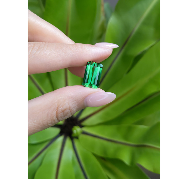 6.50 Ct. Tourmaline from Brazil