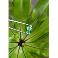 6.50 Ct. Tourmaline from Brazil Life Style
