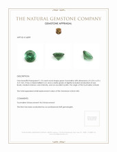 1.10 Ct. Green Tourmaline from Brazil Appraisal