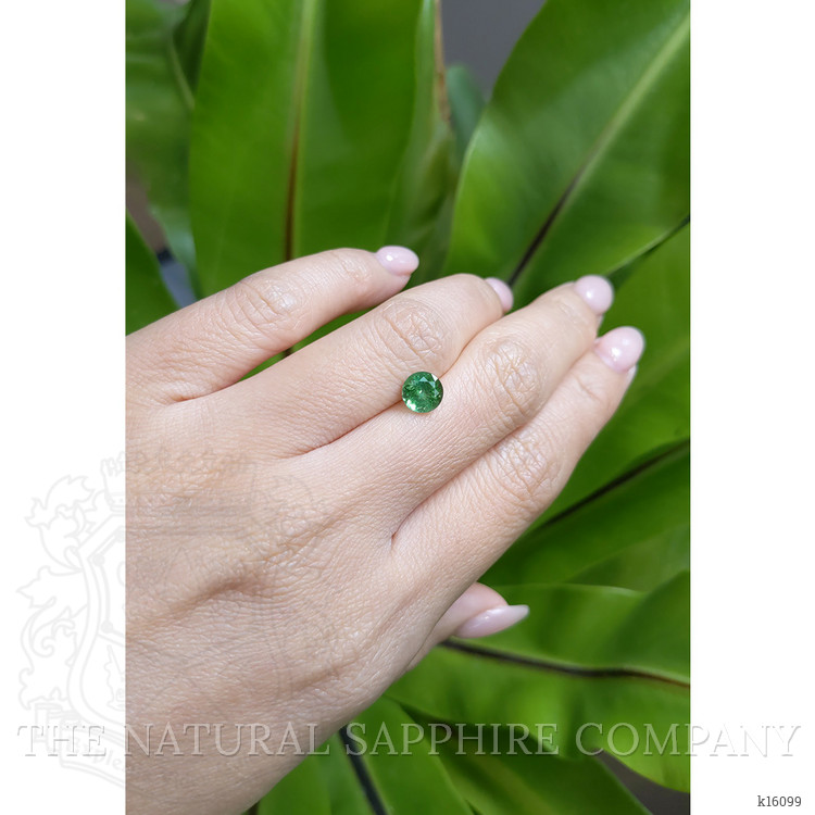 1.10 Ct. Tourmaline from Brazil