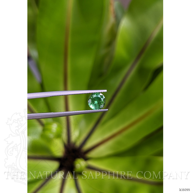 1.10 Ct. Tourmaline from Brazil