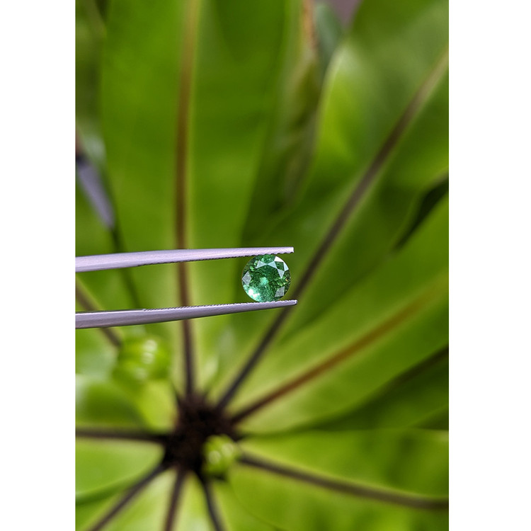 1.10 Ct. Tourmaline from Brazil