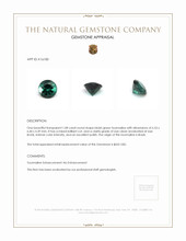 1.08 Ct. Tourmaline from Brazil Appraisal