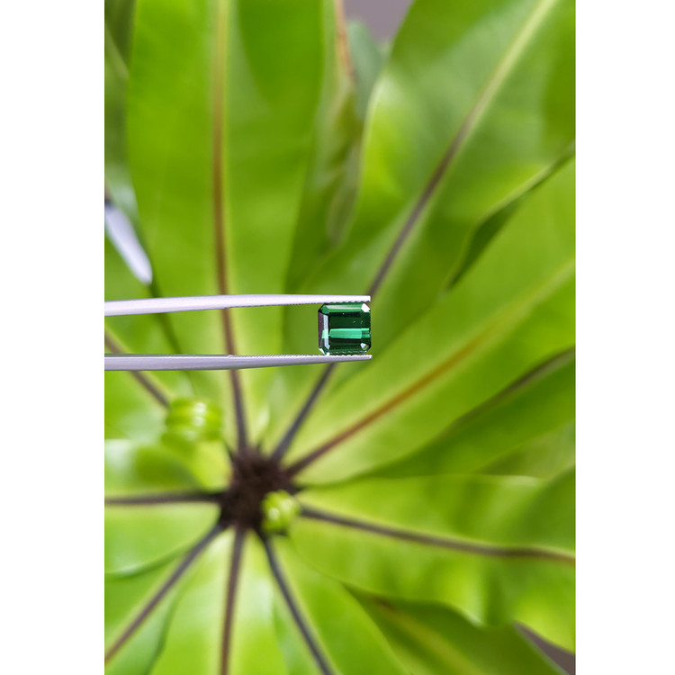2.37 Ct. Tourmaline from Mozambique
