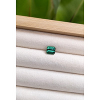 1.74 Ct. Tourmaline from Brazil Life Style