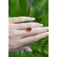 3.68 Ct. Tourmaline from Brazil Life Style