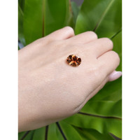 3.68 Ct. Tourmaline from Brazil Life Style