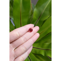 2.65 Ct. Tourmaline from Brazil Life Style