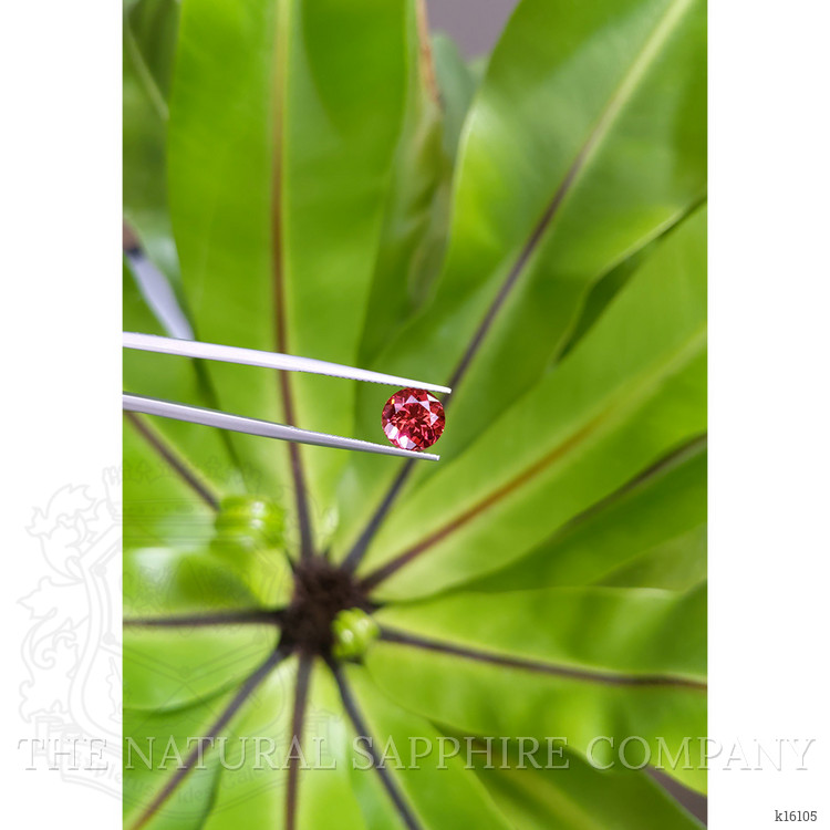 2.65 Ct. Tourmaline from Brazil