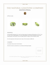 2.47 Ct. Green Tourmaline from Brazil Appraisal