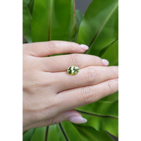 2.47 Ct. Tourmaline from Brazil Life Style