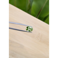 2.47 Ct. Tourmaline from Brazil Life Style