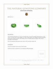 Jewelry Appraisal