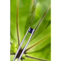 1.04 Ct. Spinel from Ceylon (Sri Lanka) Life Style