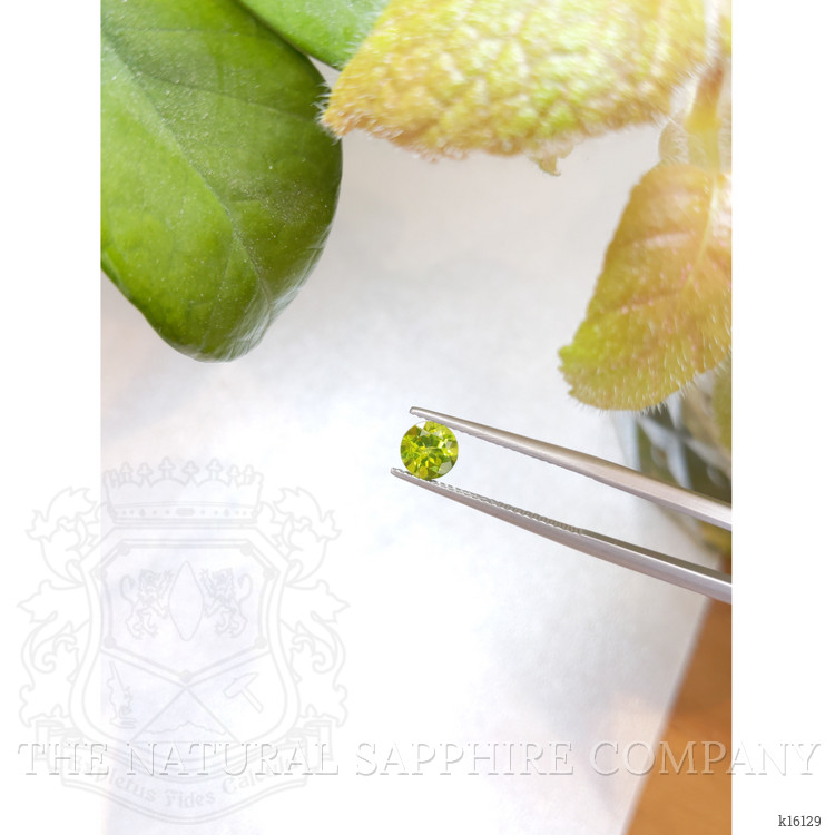 1.07 Ct. Peridot from China