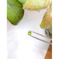 0.85 Ct. Peridot from China Life Style