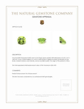 0.88 Ct. Green Peridot from China Appraisal