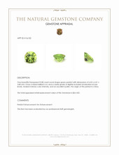 0.88 Ct. Peridot from China Appraisal