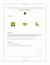 0.90 Ct. Peridot from China Appraisal