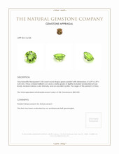 1.00 Ct. Peridot from China Appraisal