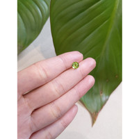 1.04 Ct. Peridot from China Life Style