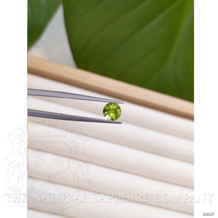 1.03 Ct. Peridot from China