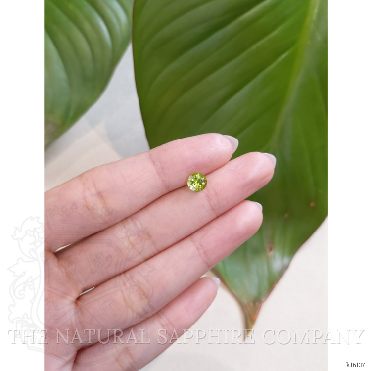 1.03 Ct. Peridot from China