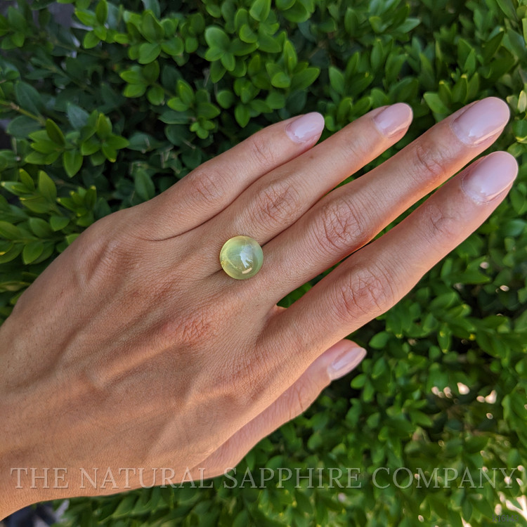 9.94 Ct. Cabochon Chrysoberyl from Ceylon (Sri Lanka)