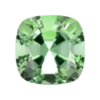 1.34 Ct. Tourmaline from Mozambique Video