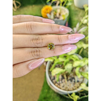 3.04 Ct. Chrysoberyl from Ceylon (Sri Lanka) Life Style