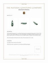 4.16 Ct. Tourmaline from Brazil Appraisal