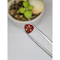 2.40 Ct. Garnet from Ceylon (Sri Lanka) Life Style