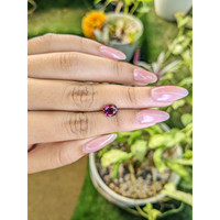 2.27 Ct. Garnet from Ceylon (Sri Lanka) Life Style