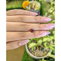 1.63 Ct. Garnet from Ceylon (Sri Lanka) Life Style