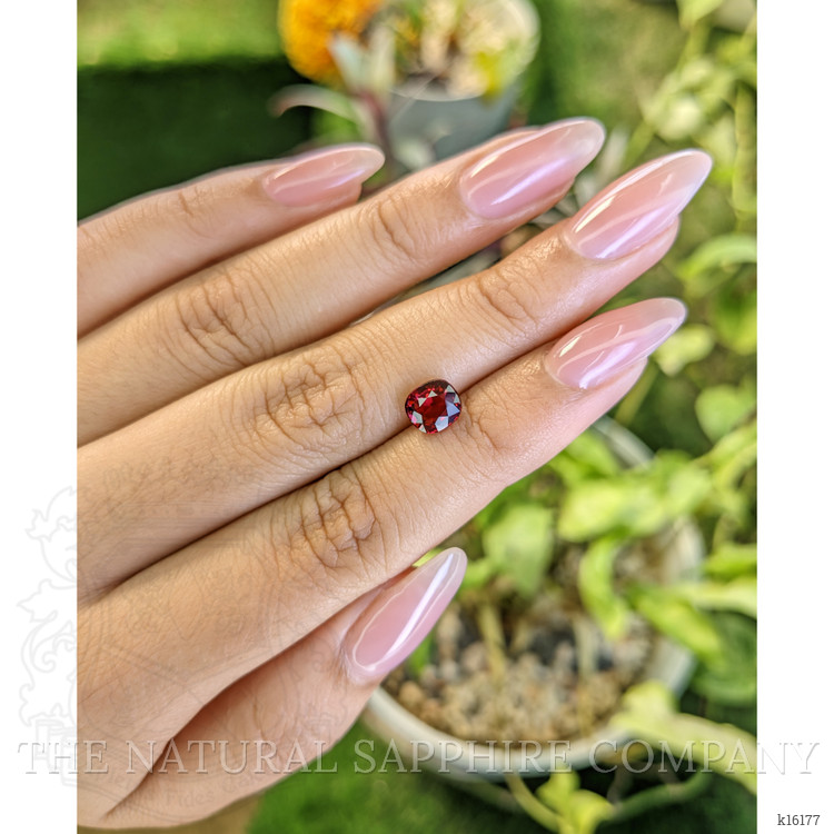 1.63 Ct. Garnet from Ceylon (Sri Lanka)