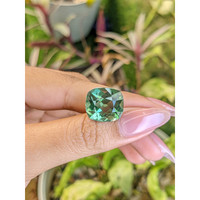 11.91 Ct. Prasiolite from Madagascar Life Style