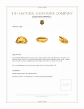 4.96 Ct. Citrine from Ceylon (Sri Lanka) Appraisal