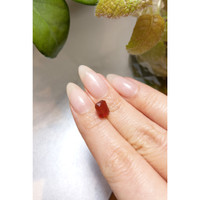 1.75 Ct. Fire Opal from Mexico Life Style