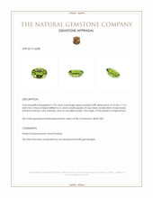 2.70 Ct. Green Peridot from Afghanistan Appraisal
