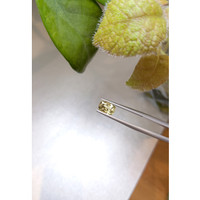 1.48 Ct. Alexandrite from Ceylon (Sri Lanka) Life Style