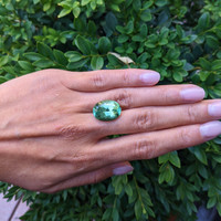 14.29 Ct. Tourmaline from Brazil Life Style