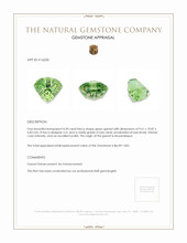 4.39 Ct. Garnet from Mozambique Appraisal