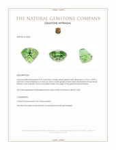 4.39 Ct. Green Garnet from Mozambique Appraisal