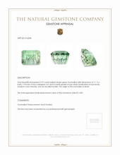 5.97 Ct. Green Tourmaline from Brazil Appraisal