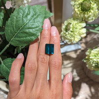 9.92 Ct. Tourmaline from Brazil Life Style