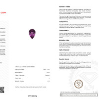 24.28 Ct. Kunzite from Afghanistan Scan Report